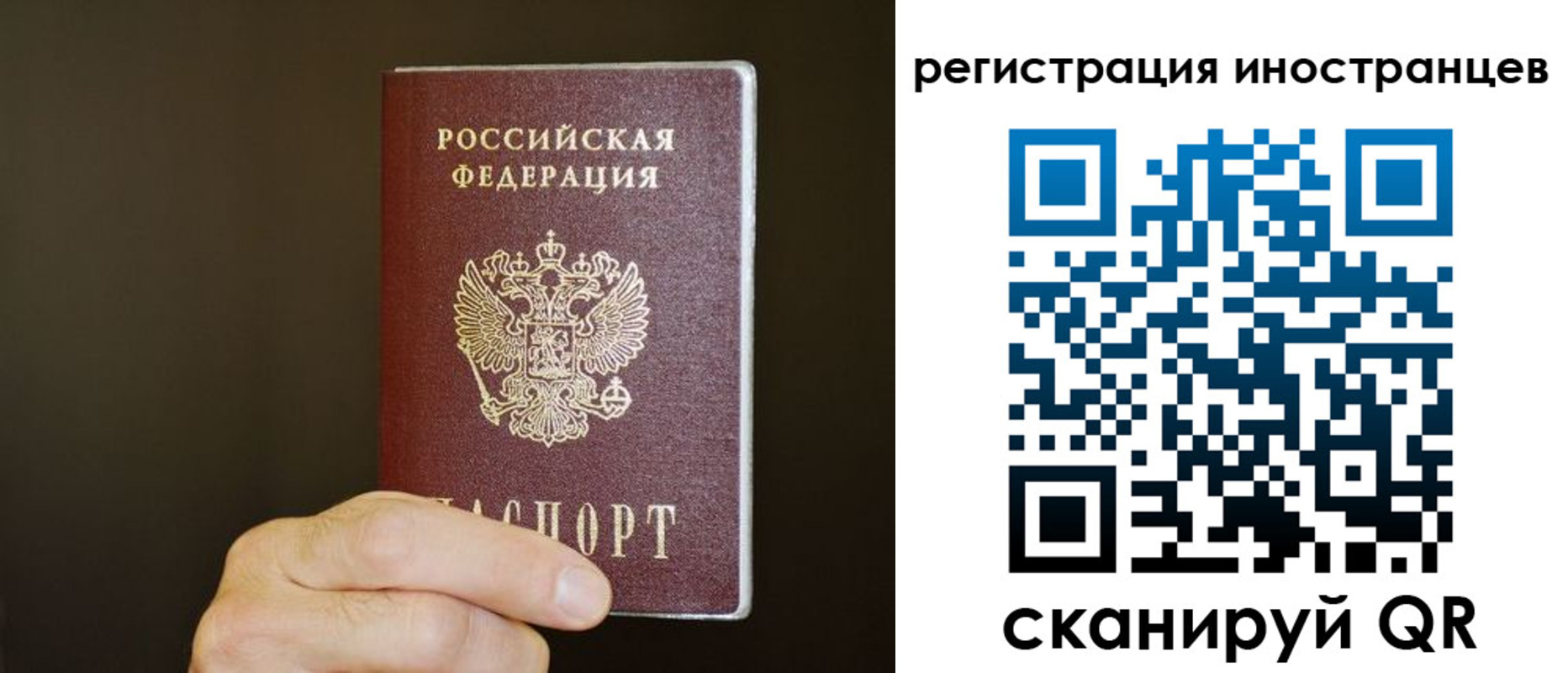 прописка в Новосибирской области